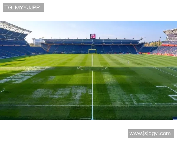 盘点世界足坛巨星珍贵照片视频记录绿茵场上激情与荣耀瞬间